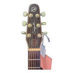 Seagull Maritime SWS Rosewood SG SF Acoustic Guitar
